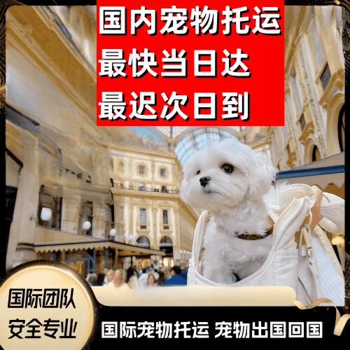 大兴安岭地区到澳大利亚（澳洲）宠物入境规定和要求